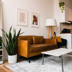 SAMPLE（抽選販売）