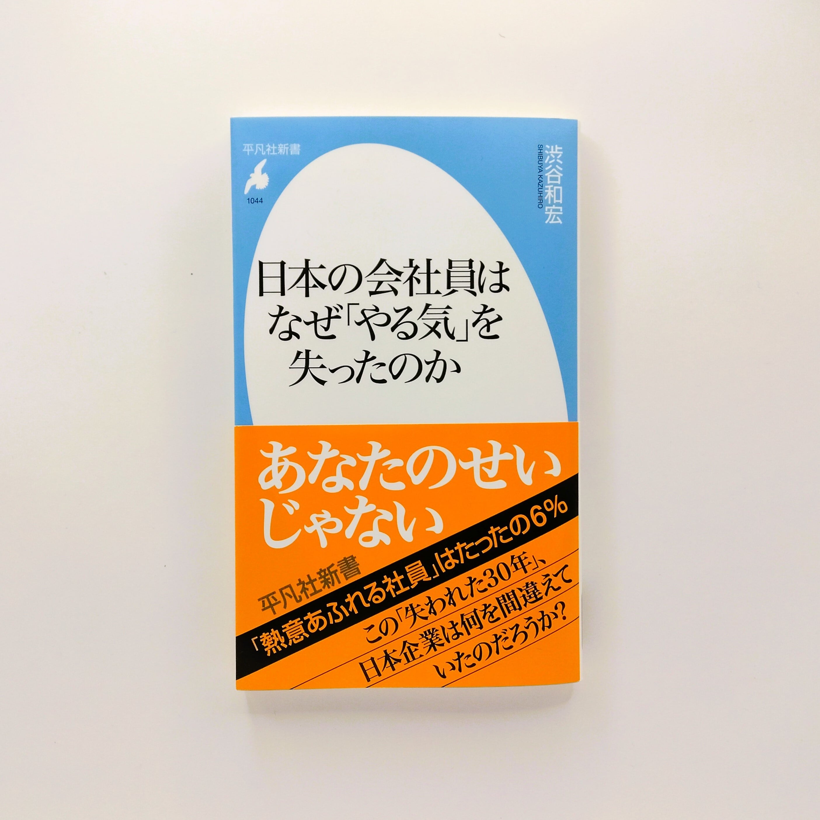 日本の会社員はなぜ「やる気」を失ったのか（平凡社新書）