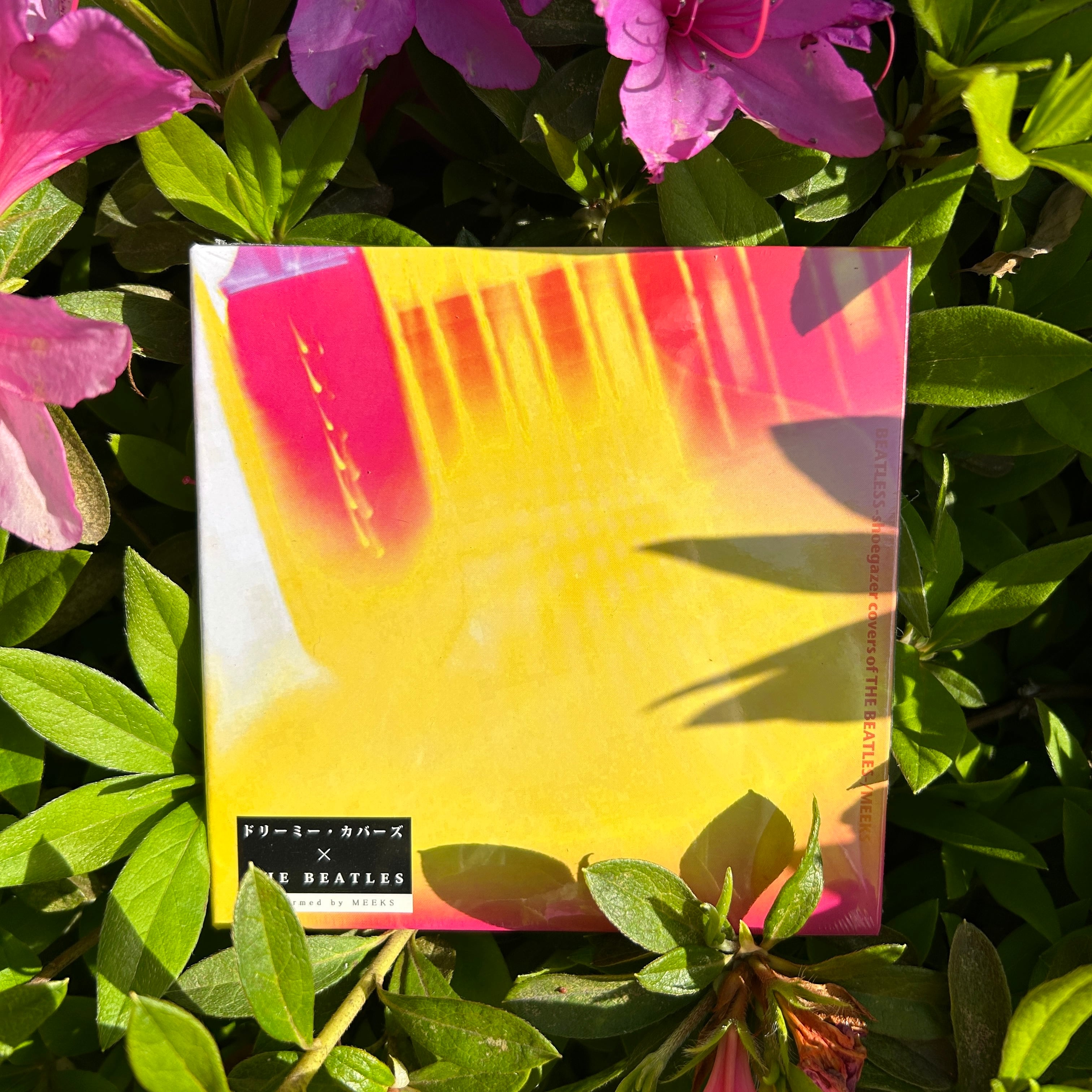 死んだ僕の彼女 / ixtab (CD) | TESTCARD RECORDS