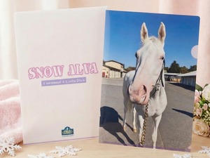 ラテ入り【6枚セット】クリアファイル＆ポストカード