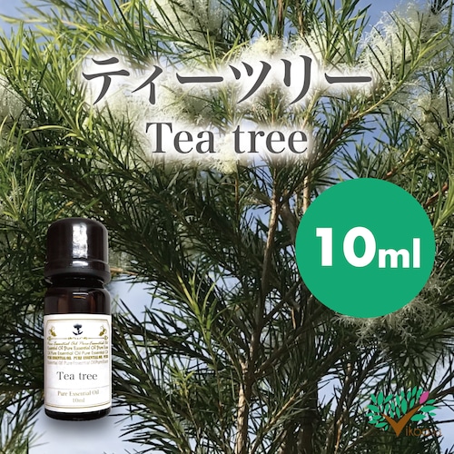 精油　ティーツリー10ml【英国直輸入】