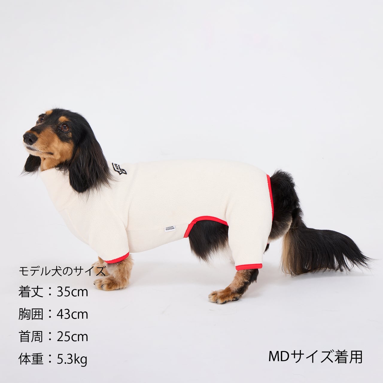 FRAME LOGO BOA SUIT（XL.XXL.3L）フレームロゴボアスーツ | MANDARINE