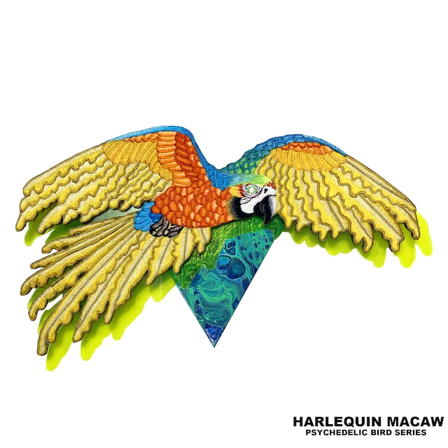 HARLEQUIN MACAW