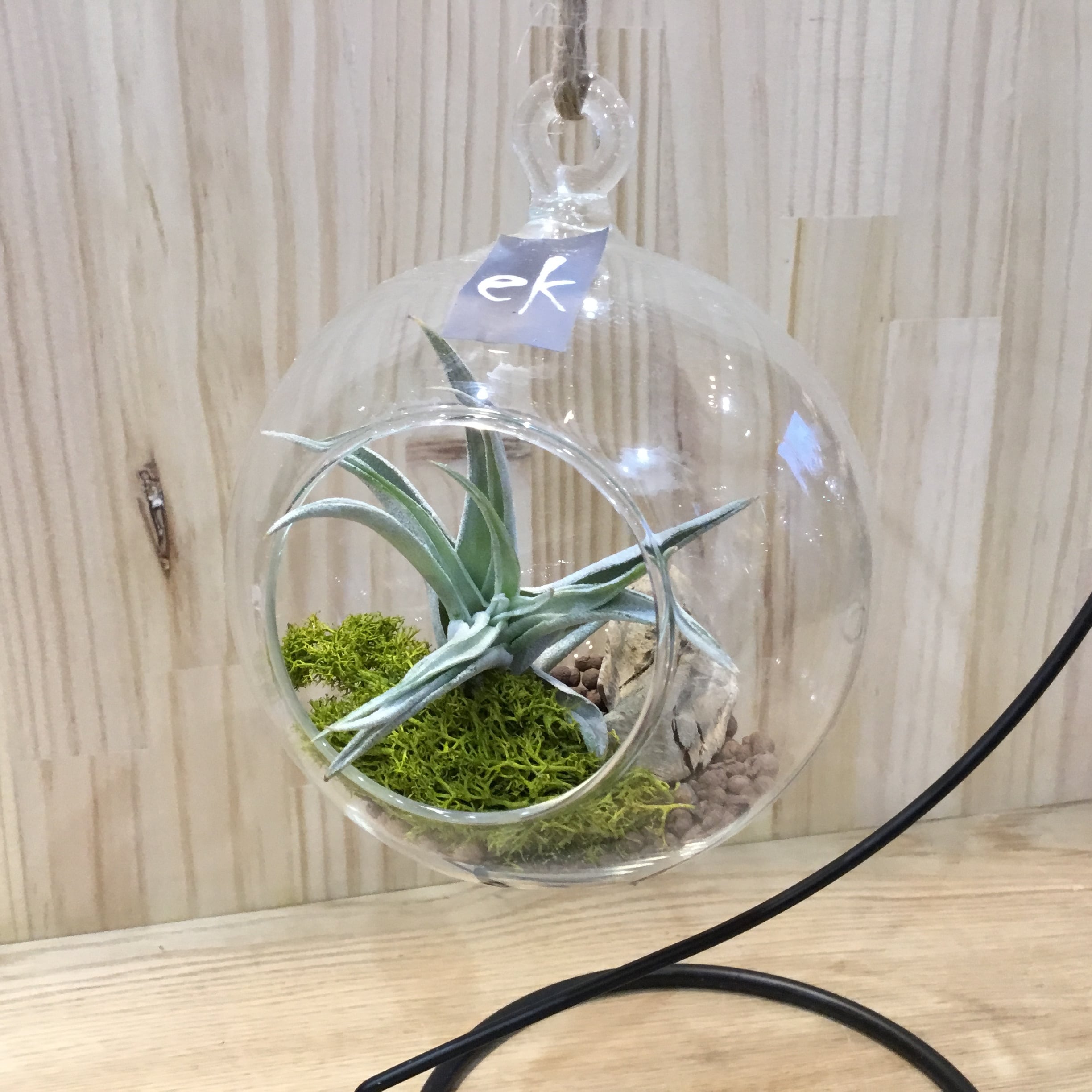 吊り下げ式プランターラック 5個のガラス容器付き☆多肉植物