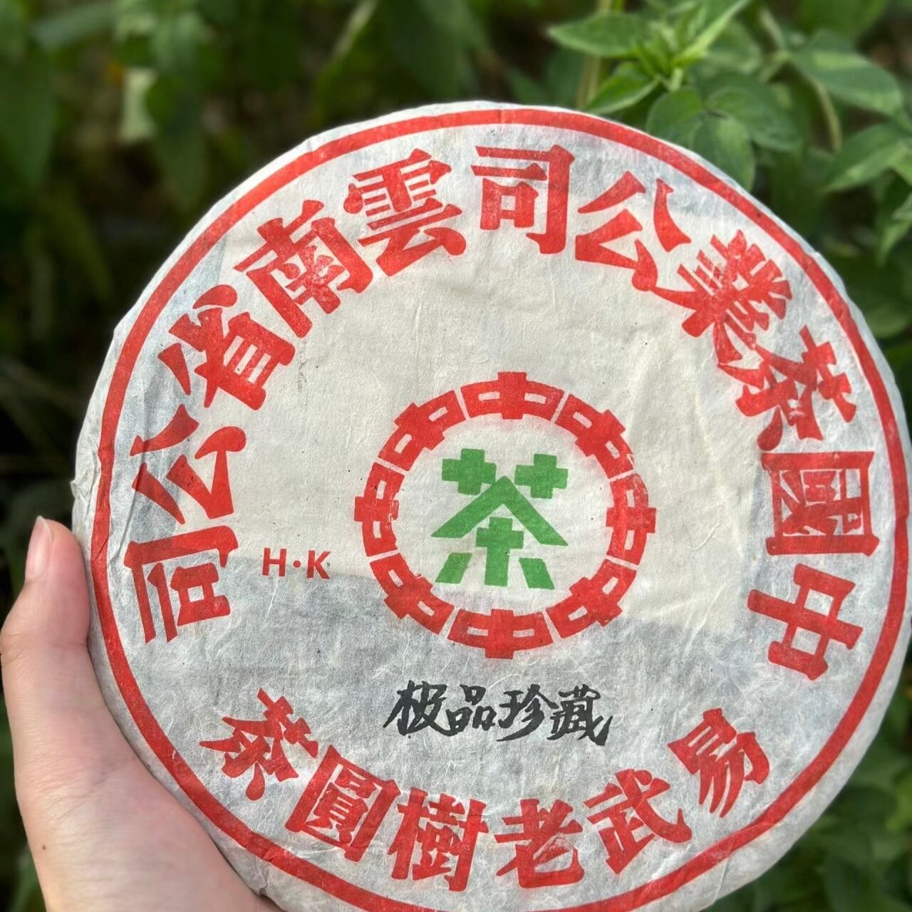 【最終値下】易武　プーアル茶　盛大茶　普洱茶 易武プーアル茶盛大茶普洱茶