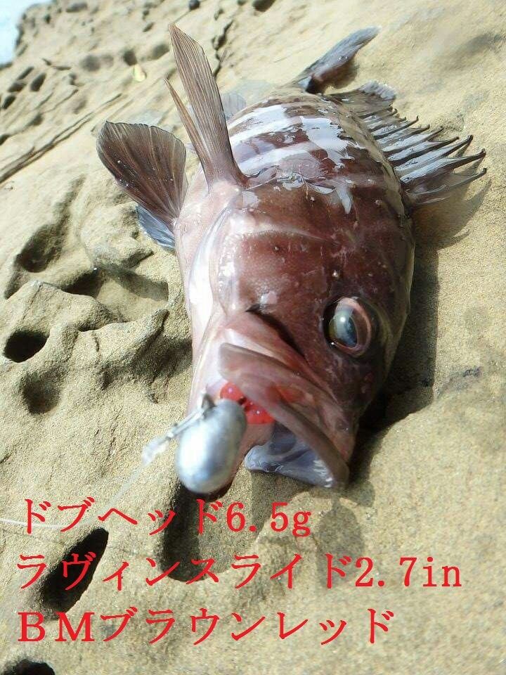 ジャックナカムラワーム ラヴィンスライド2.7in ケイムラカラー