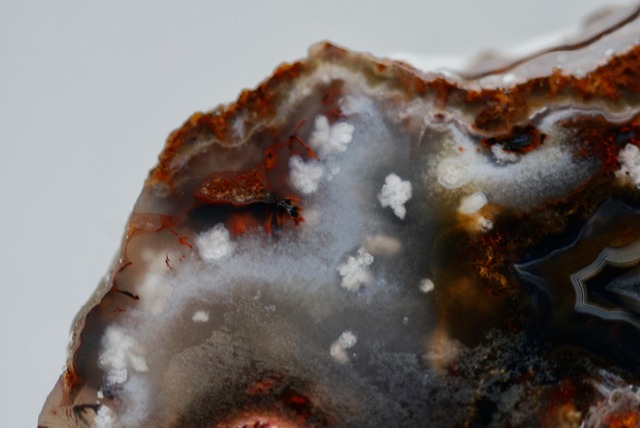 プルームアゲート　Agate  ③