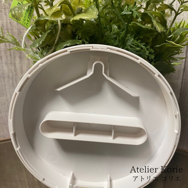 カタリーヌフラワー　コロン