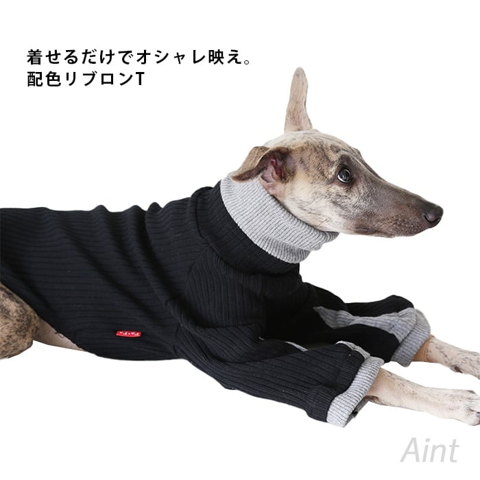 イタグレ Tシャツ ハイネック 配色切り替え 厚手 ウィペット ミニピン