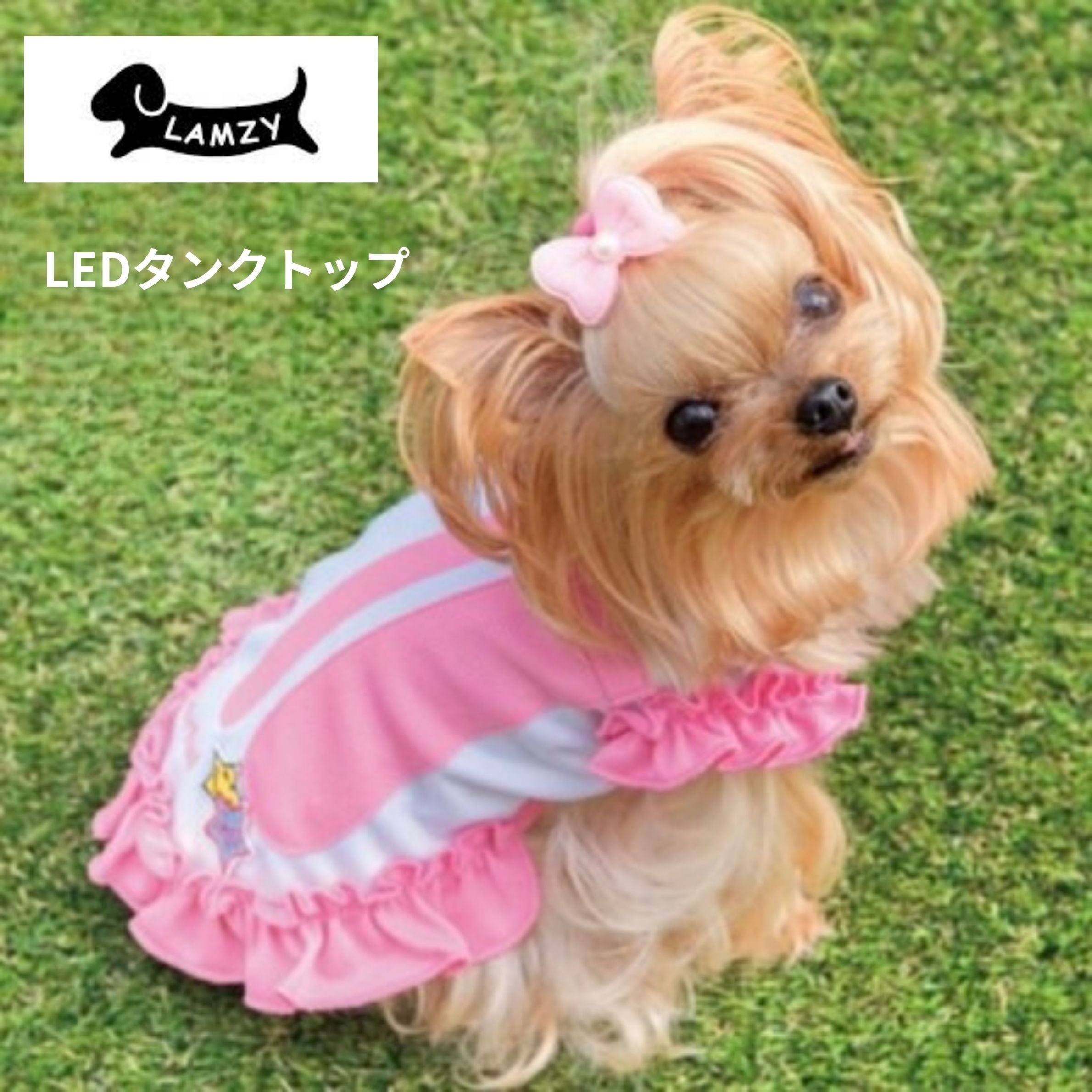 LEDタンクトップ LAMZY(ラムジー) Mサイズ 犬服 光る服 LEDライト 夜のお散歩 小型犬 中型犬 トイプードル チワワ ポメラニアン フレブル ドッグウェア