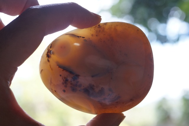 デンドリティック・アゲート Dendritic Agate