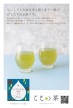 ことの茶　つゆひかり／八女