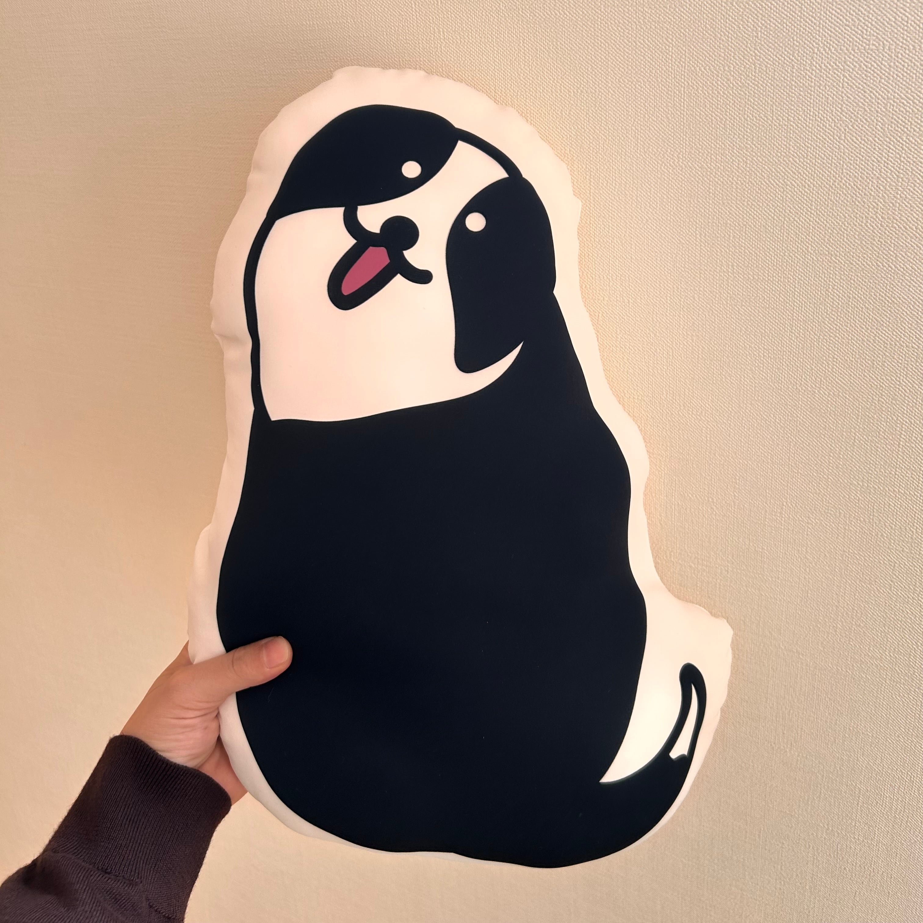 mondaicollie