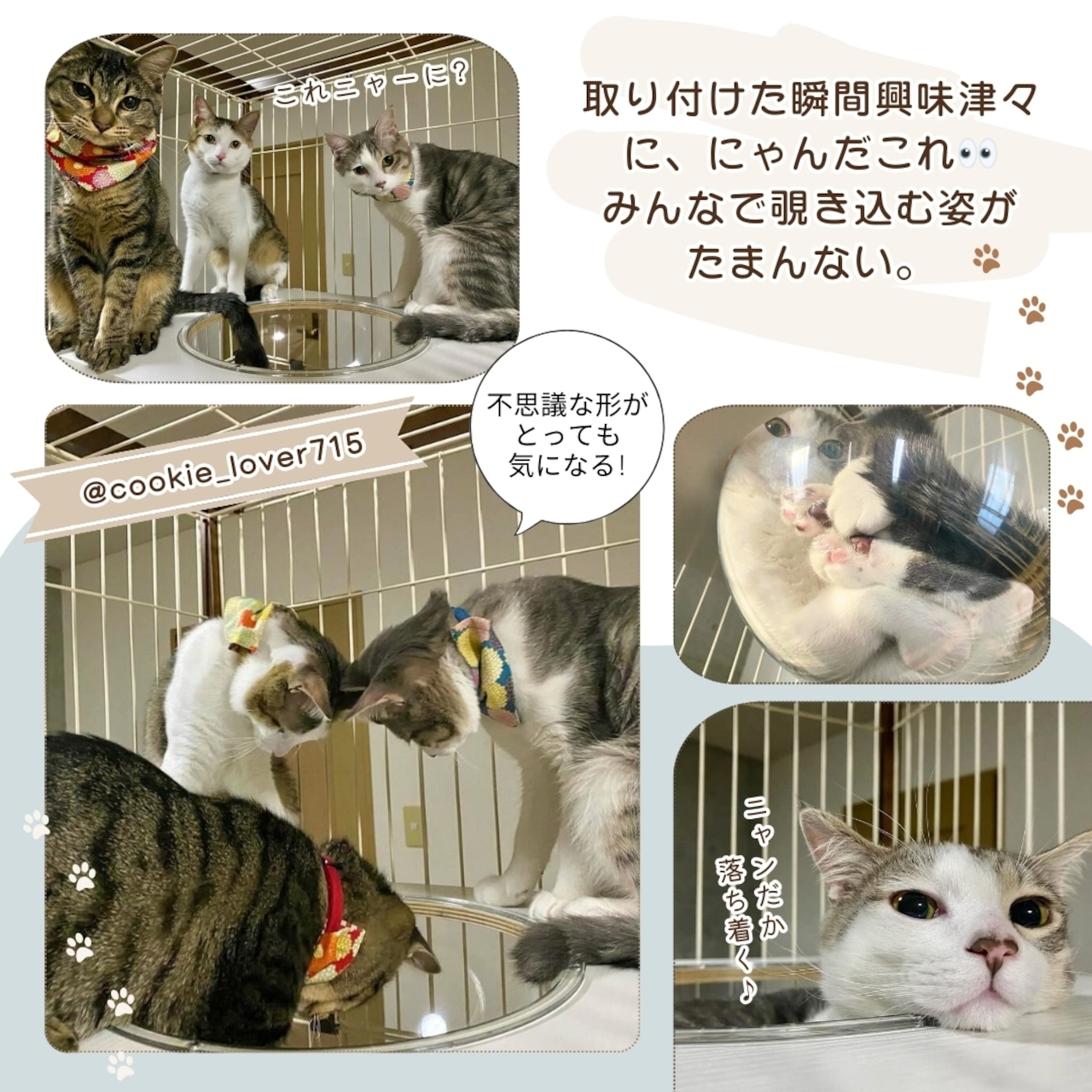 【ienekoケージオプション(ねこの惑星)】ボウルとステップ台が一体型で安定感が抜群です!