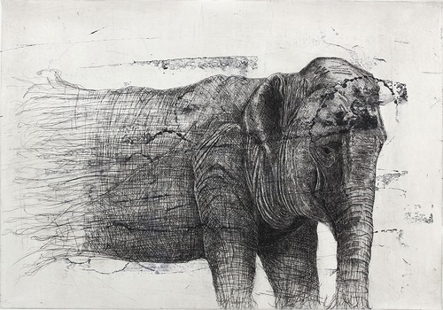 Quo vadis【Elephant】