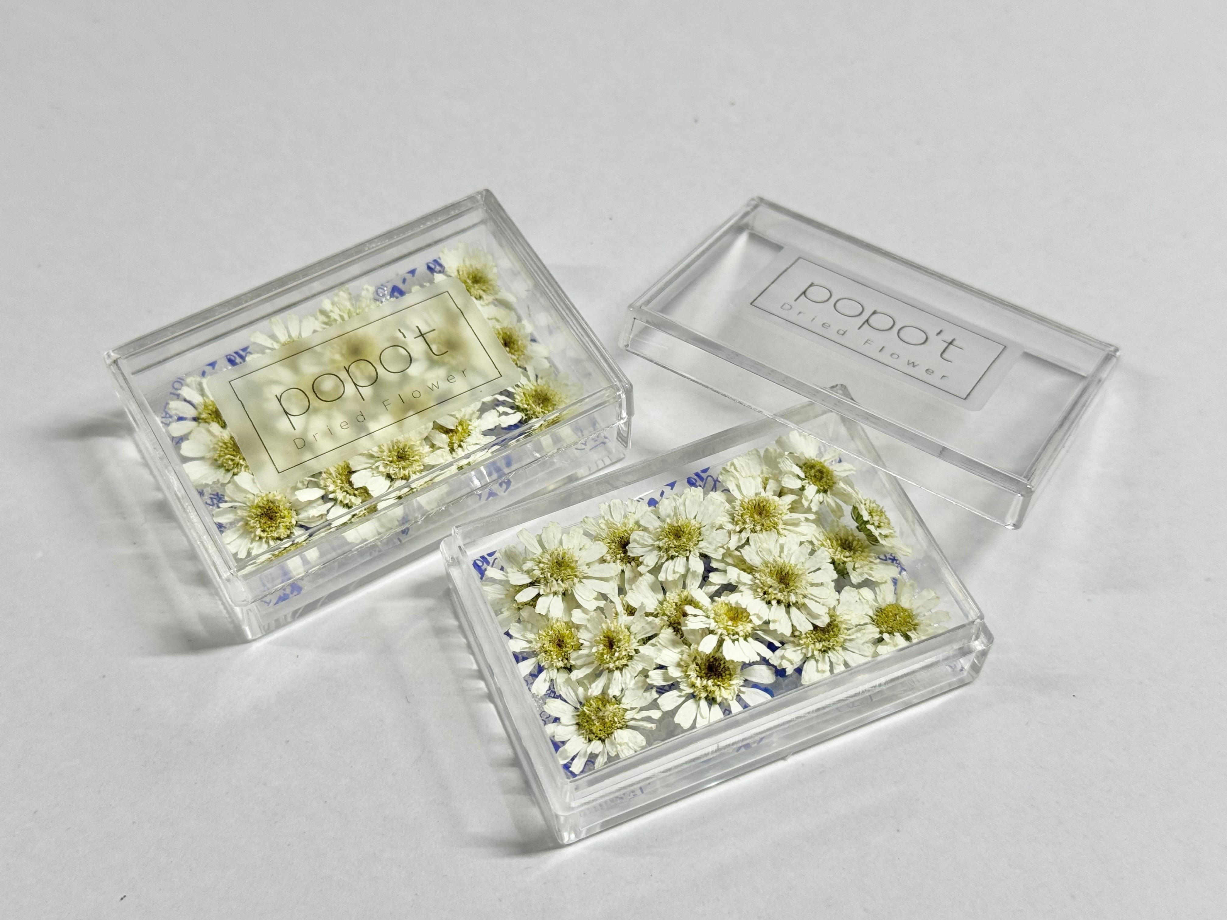 popo't〜ドライフラワーと雑貨のお店〜