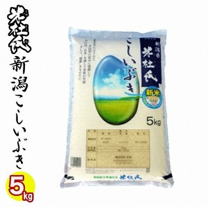 数量限定☆お米マイスター厳選１等米 令和6年産 新潟県産 こしいぶき ５kg 白米 精米 （米杜氏）新潟 こしいぶき コシイブキ 新潟県産こしいぶき 精米日の新しいお米です 送料無料 新潟ブランド米 産地直送米 令和６年 低温倉庫管理米