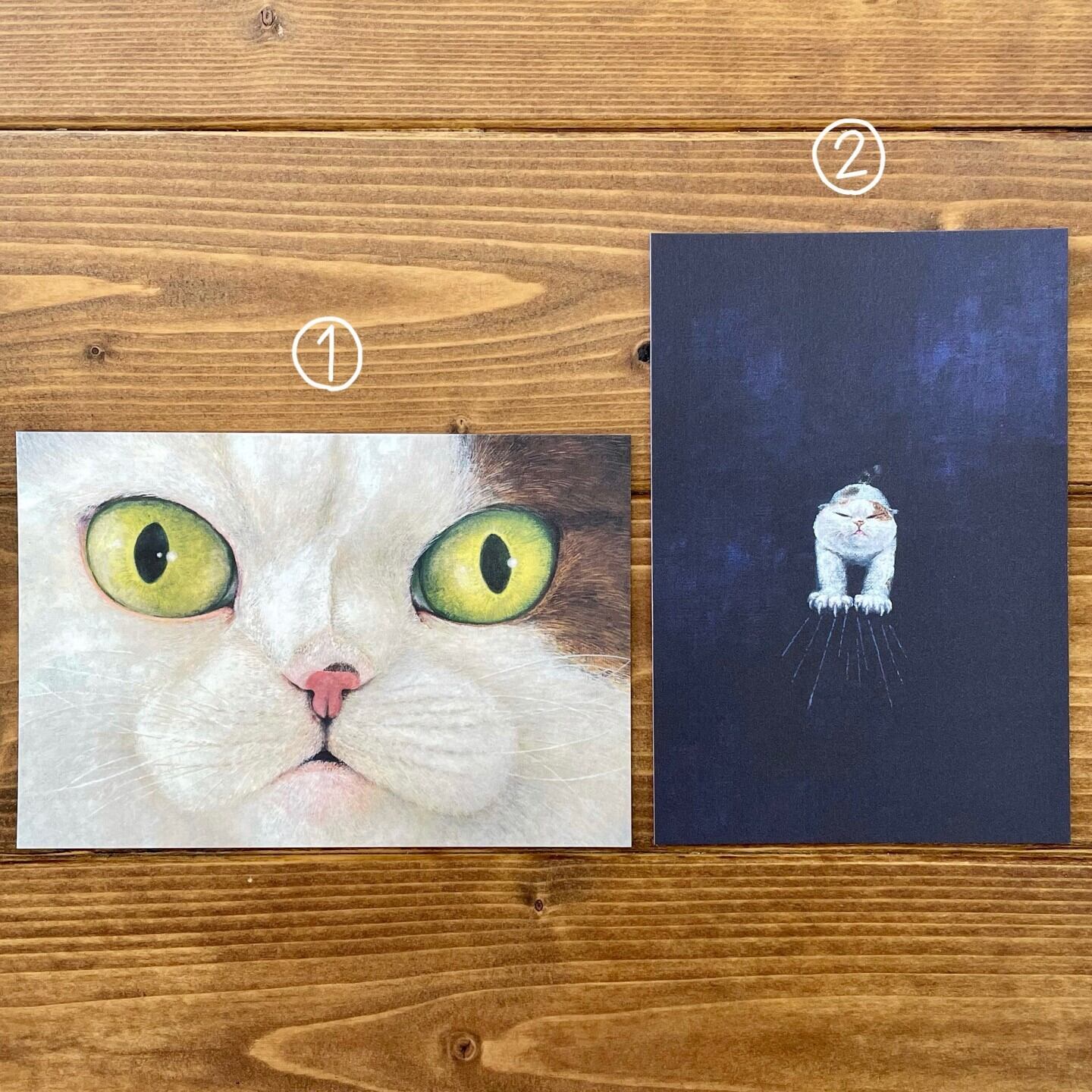 町田 尚子 】「なまえのないねこ」 大判ポストカード | 猫雑貨のお店 町田 尚子 】「なまえのないねこ」 大判ポストカード | 猫雑貨のお店