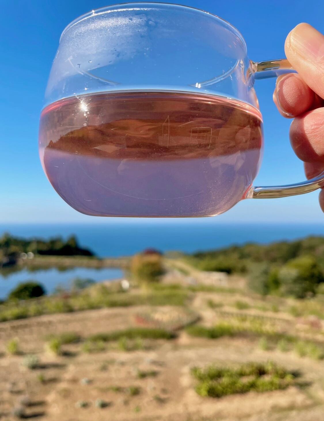 ハーブティー | yasumirelax