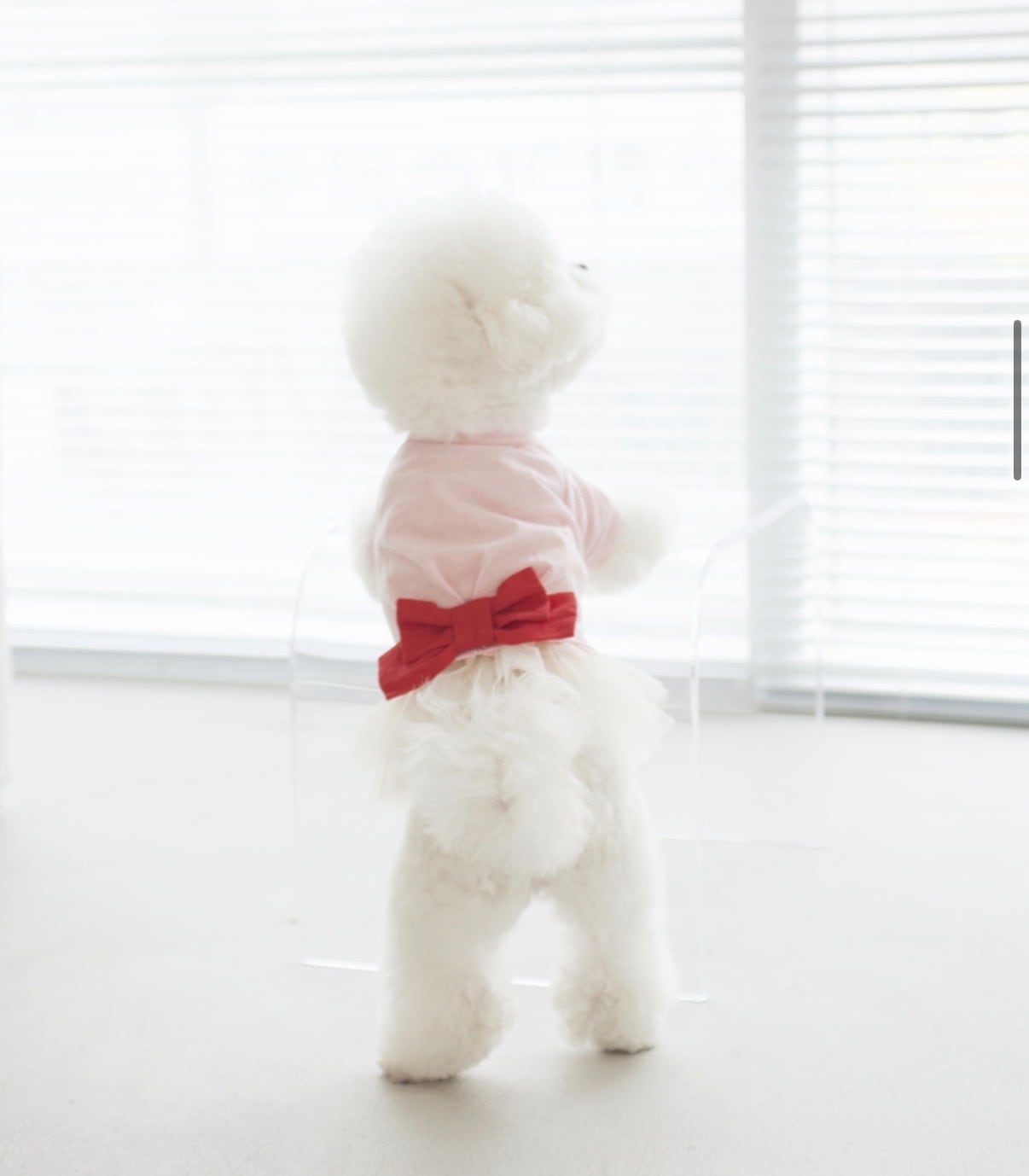 BRAND | wataTo