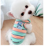 カラフルボーダータンクトップ