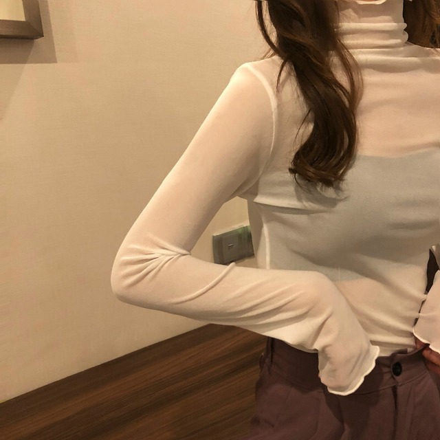 トップス カットソー フリル 長袖 袖あり ハイネック レギュラー丈 シースルー 透け感 ストレート 細身 フィット 可愛い キュート ラブリー 大人可愛い 大人っぽい カジュアル 上品 大人女子 10代 20代 30代 40代 レディース 女性用 通学 通勤 OL 学生 休日 女子会 デート お出かけ レストラン ショッピング コーデ ファッション トレンド 流行 インスタ映え 着回し 重ね着 プチプラ 安い 送料無料 サイズ フリーサイズ 色展開 ホワイト 白 カーキ グレー 灰色 ブラック 黒