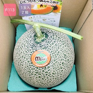 最高級富良野メロン　R113　秀品　大玉(1.6〜2.0キロ)1玉入×2箱