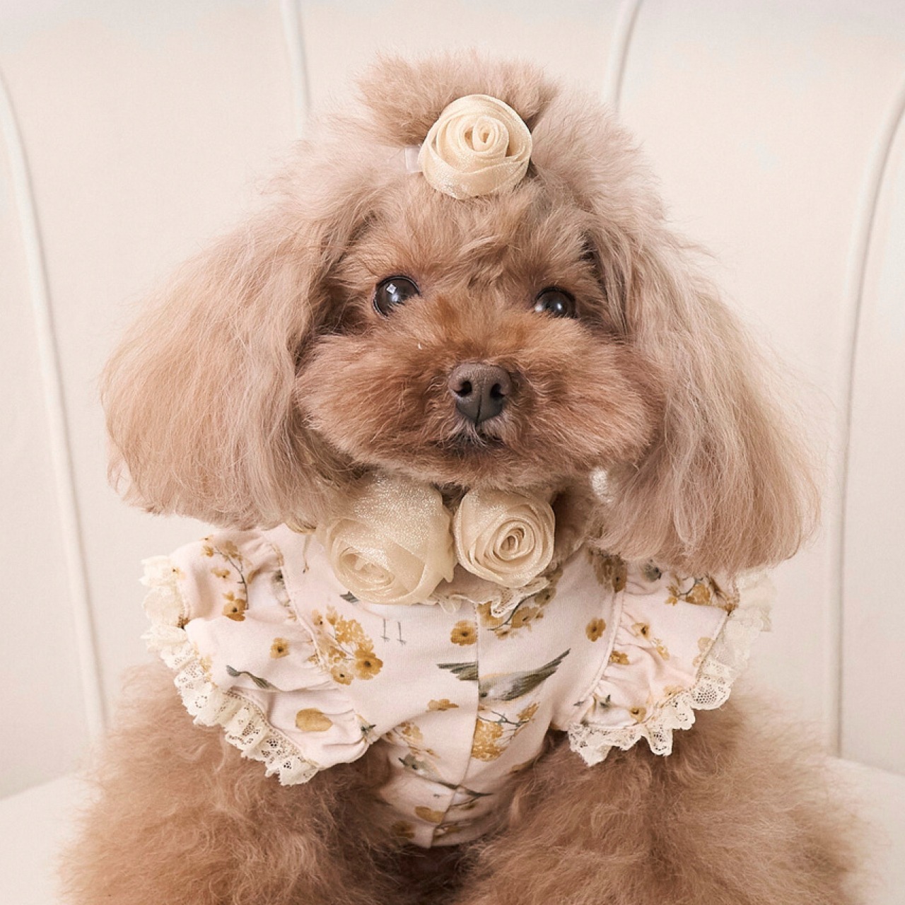 【TEO I'm COOL】IVORY BUD clip bijoux