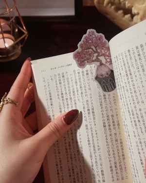 桜の植木ステッカー