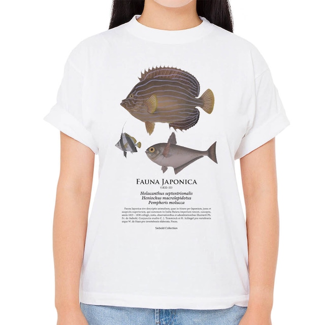 【ハタタテダイ・ミナミハタンポ・キンチャクダイ】シーボルトコレクション魚譜Tシャツ（高解像・昇華プリント）