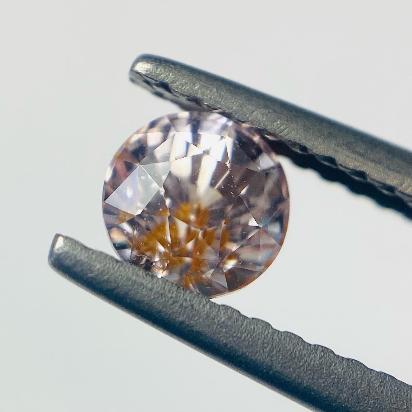 桜桜桜　サファイア