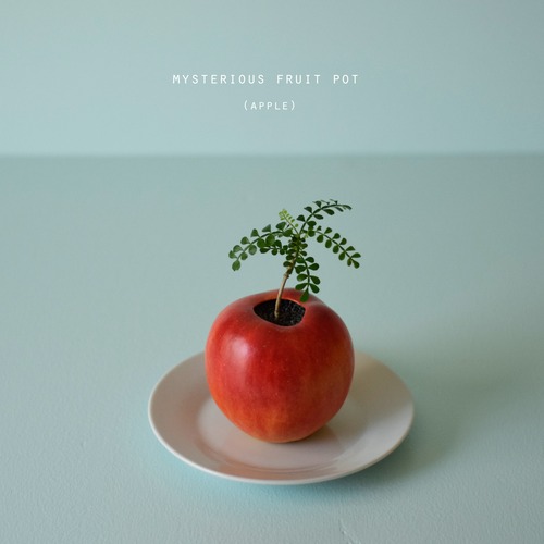 mysterious fruit pot (apple)パキプス