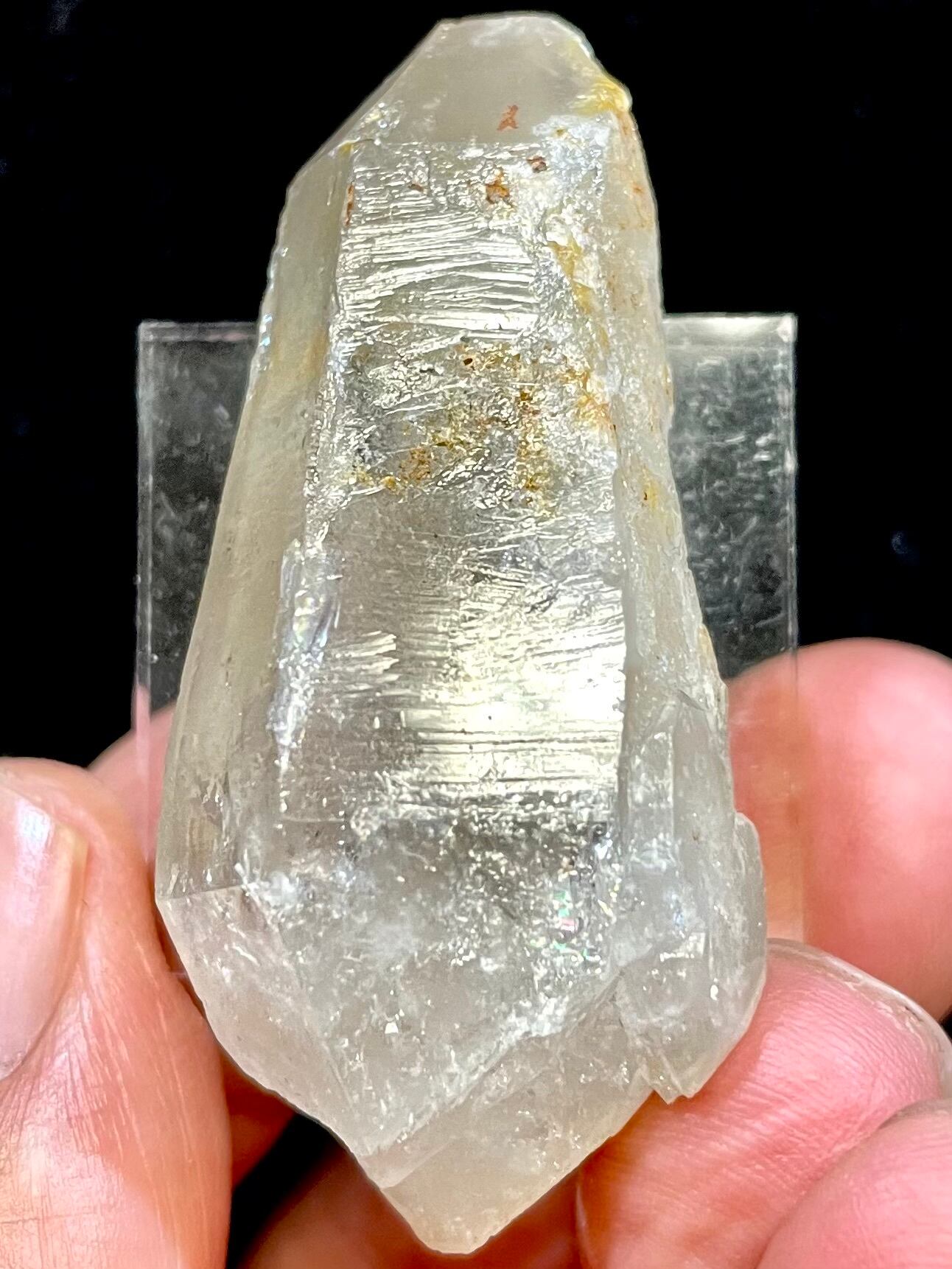 15) ロシアン・レムリアン(陰陽DT)