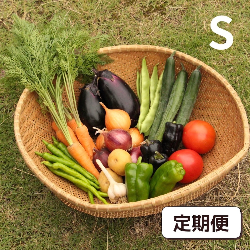 定期便〈隔週〉福知山の農家たちが丹精込めてつくる!季節のお野菜おまかせボックスSサイズ
