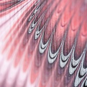 「紅と墨」〜ピーコック崩し柄〜浴衣・夏着物・単衣