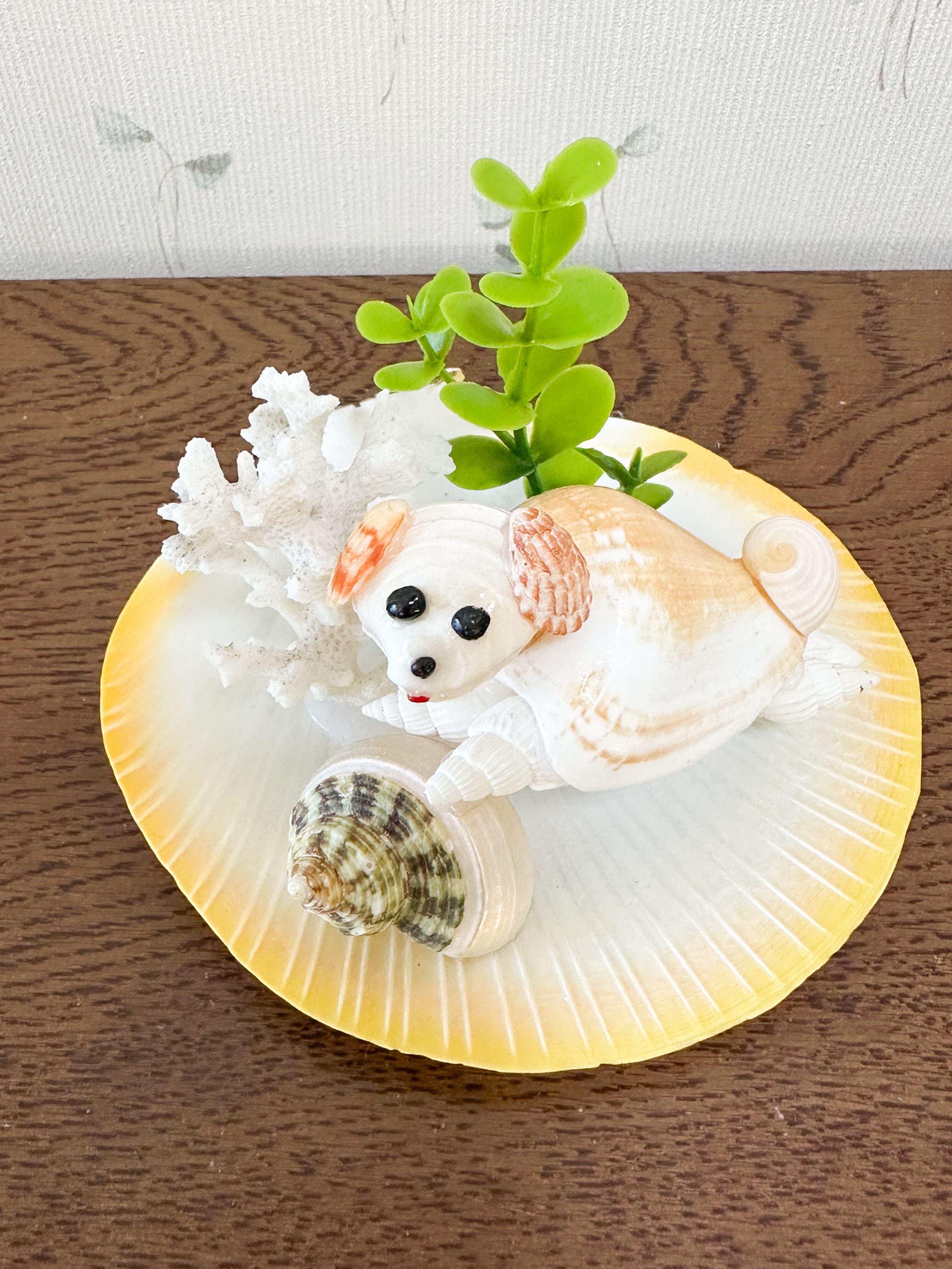 貝殻こけし舎