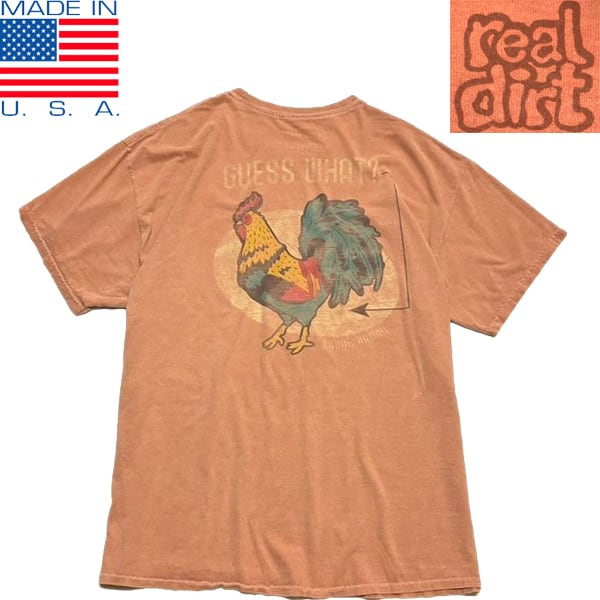 1点物◇USA製オレンジくすみフェード鳥バックプリントTシャツ古着