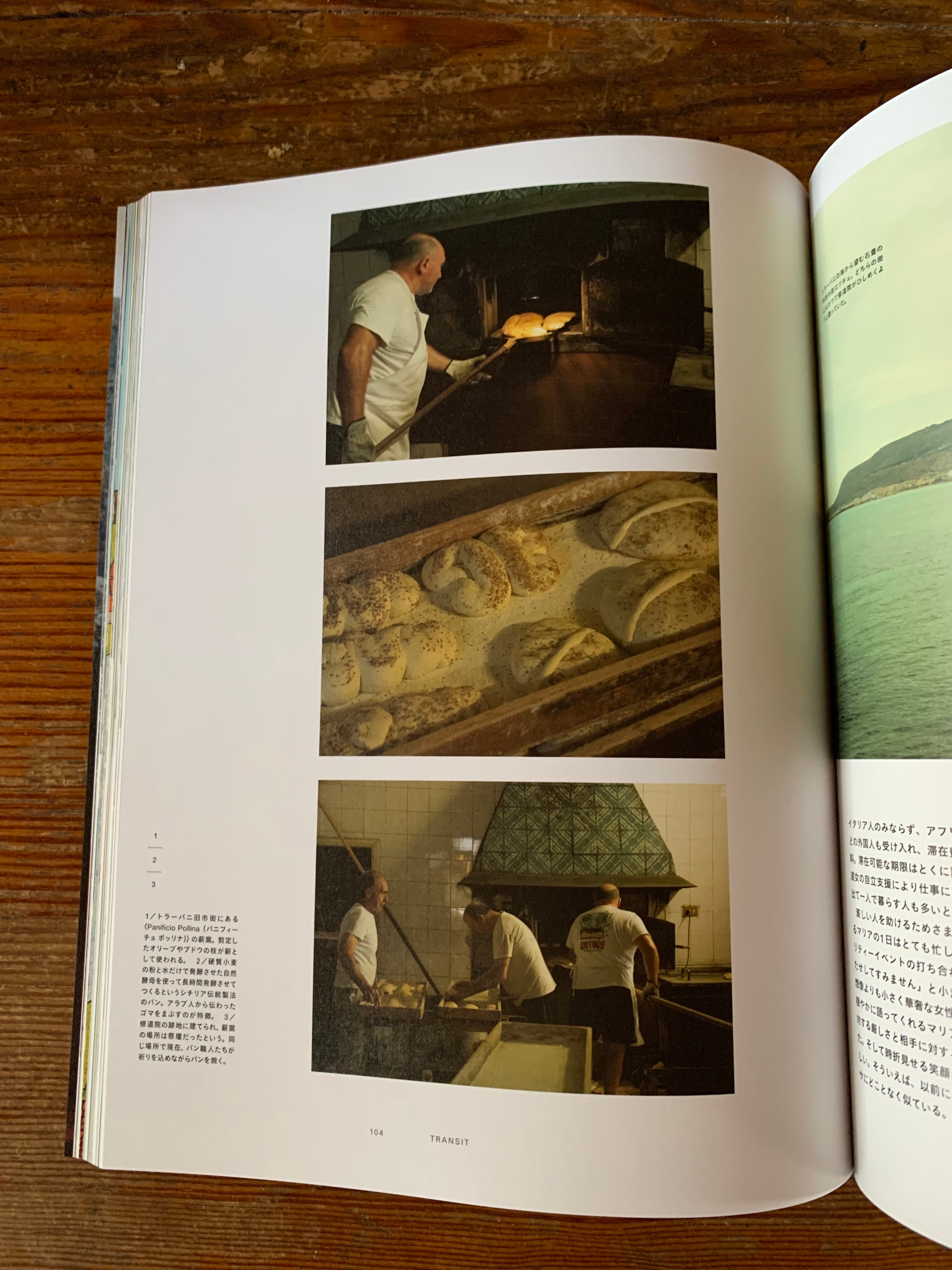 TRANSIT 65号 世界のパンをめぐる冒険 創世編』 | STANDARD BOOKSTORE