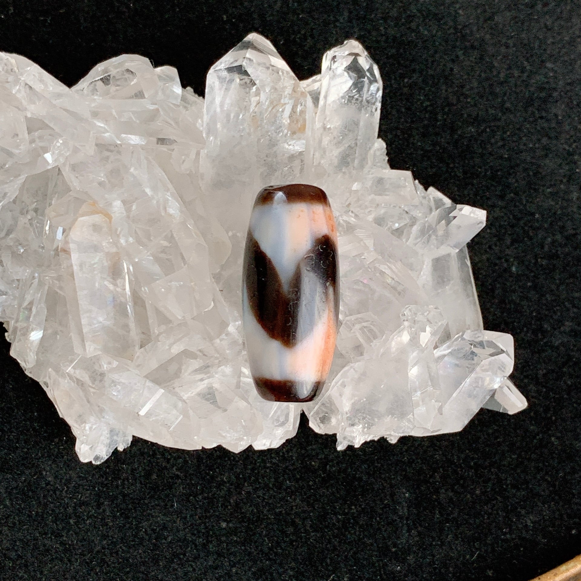 超激レア‼︎ 人気 小盧至純 白蓮花天珠 激レア‼小盧小至純 亀甲蓮花天