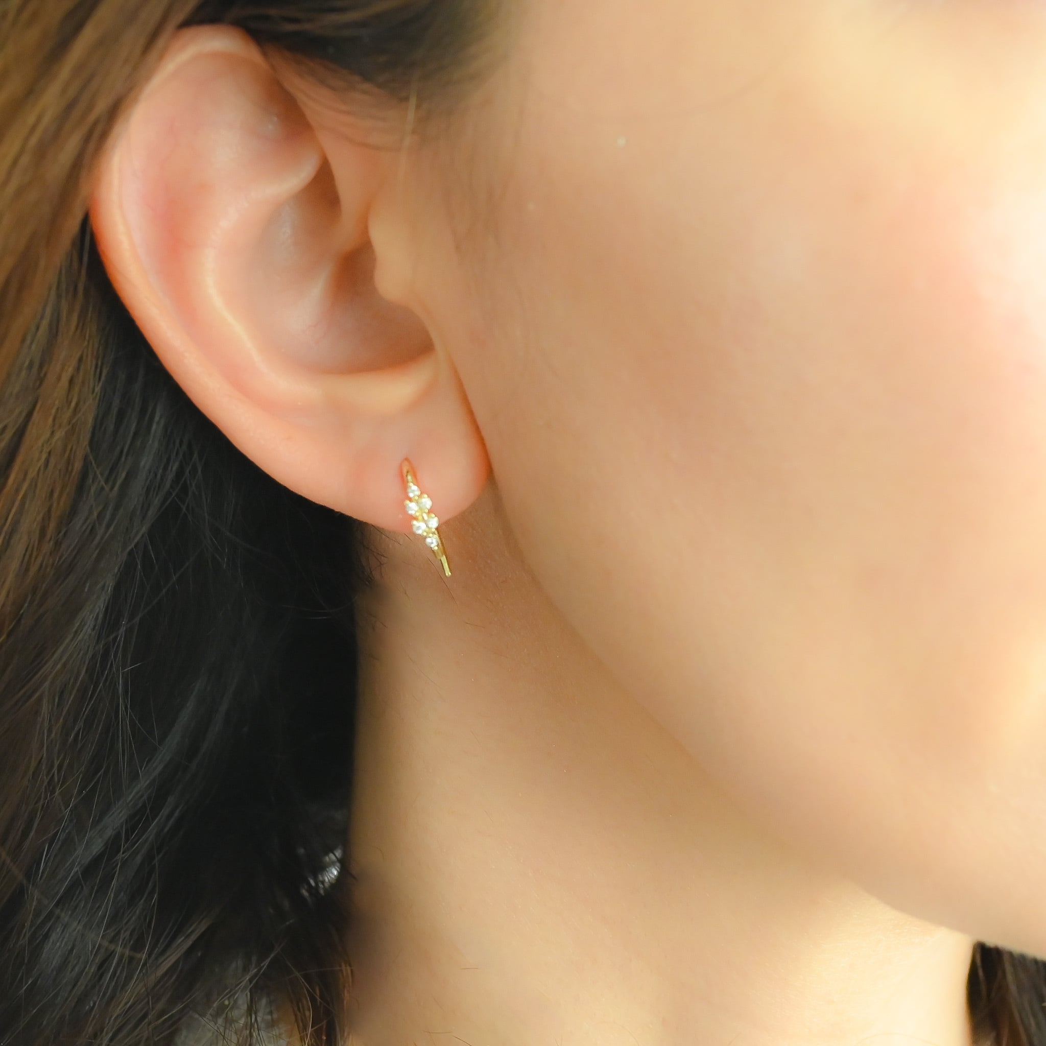 Zirconia-Studded Leaf Hook ﾋﾟｱｽ | naotjewelry 身に付けるほどに