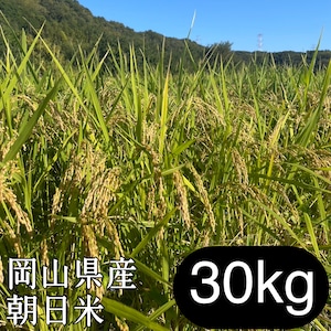 岡山県産　朝日米　30㎏　玄米│無農薬│在来種│令和7年産│くらしき自然栽培