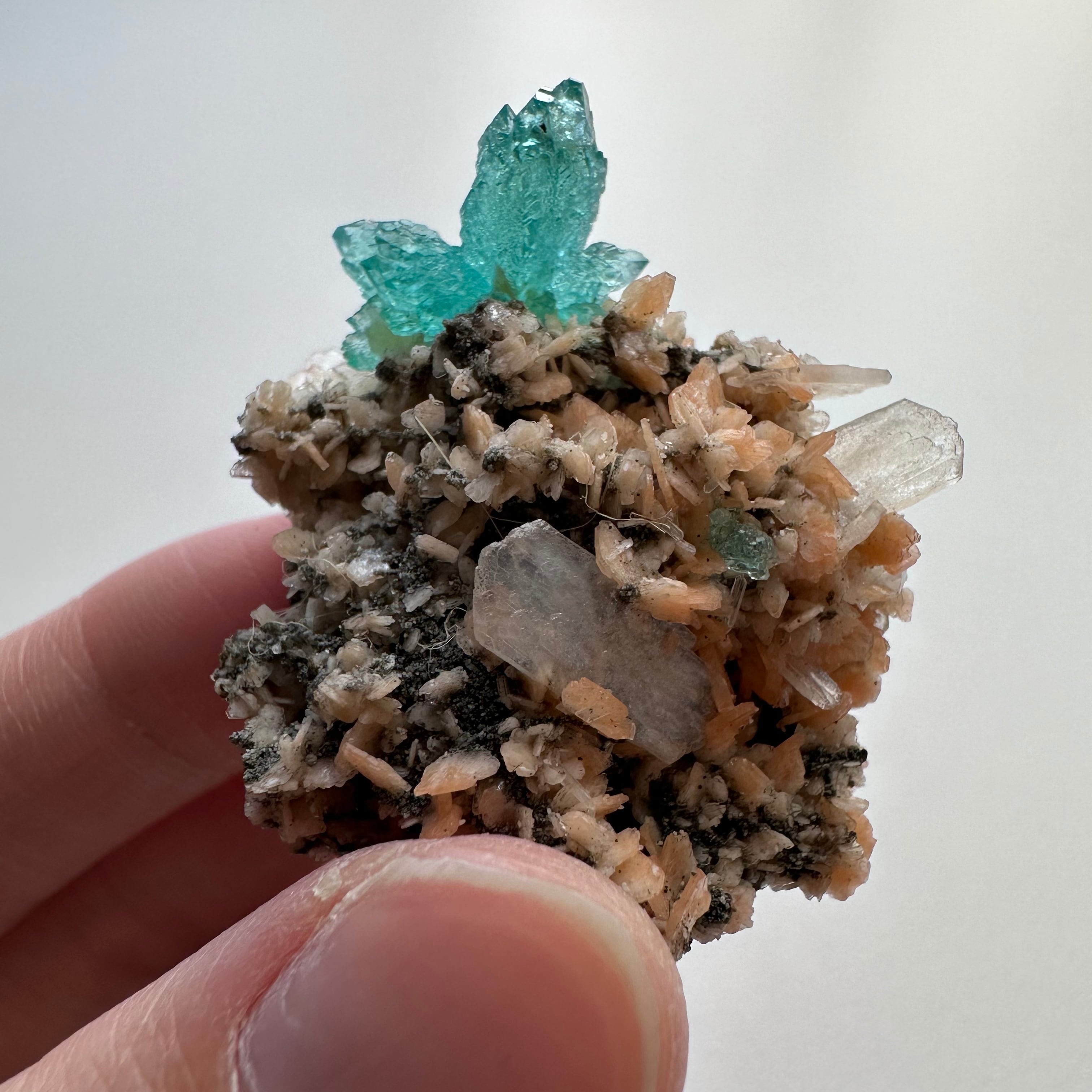 アポフィライト / スティルバイト【Apophyllite with Stilbite】インド