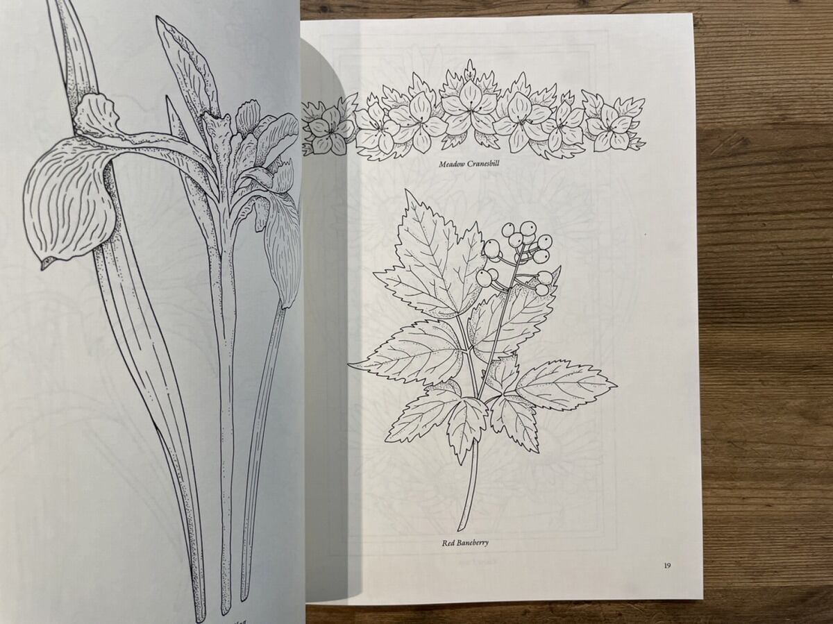 VA441】Wildflower Designs and Motifs for Artists and Craftspeople