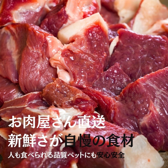 maskota 無添加 国産 鴨むね肉とズッキーニ スナック ジャーキー 手作り ペットおやつ 40g