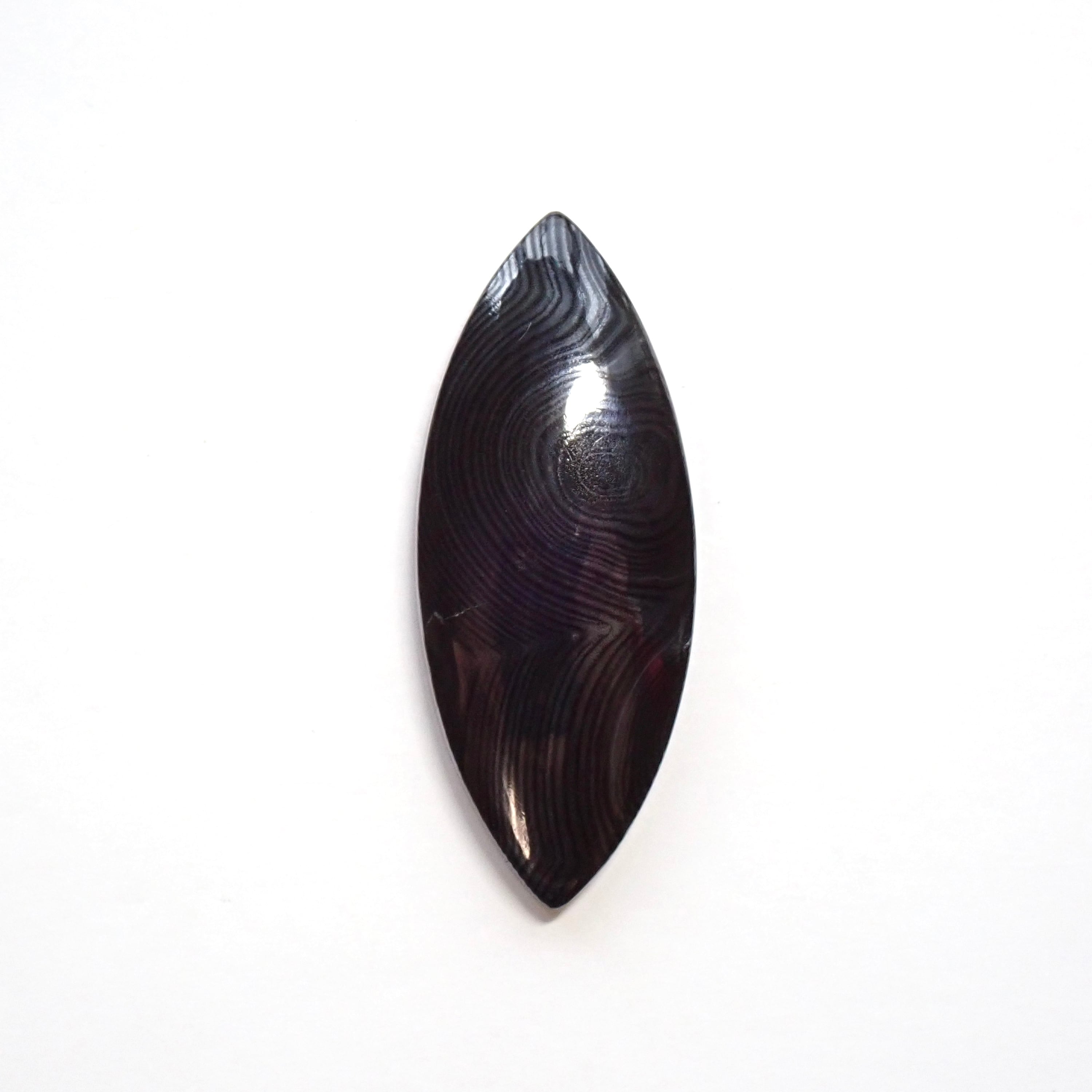 サイロメレーン 06