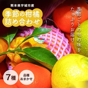 熊本県宇城市産 季節の柑橘詰め合わせ 2kg 7種 不知火 みかん スウィートスプリング はるか みはや 早香 はるみ 晩白柚 など(※季節により種類は異なります)