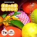 熊本県宇城市産 季節の柑橘詰め合わせ 2kg 7種 不知火 みかん スウィートスプリング はるか みはや 早香 はるみ 晩白柚 など(※季節により種類は異なります)