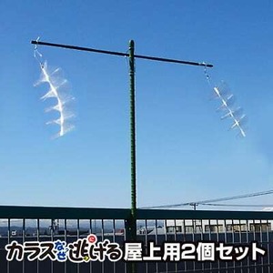 カラスなぜ逃げる? 屋上用2個セット カラス撃退 カラス 対策 グッズ 鳥 対策 ゴミ カラス 除け