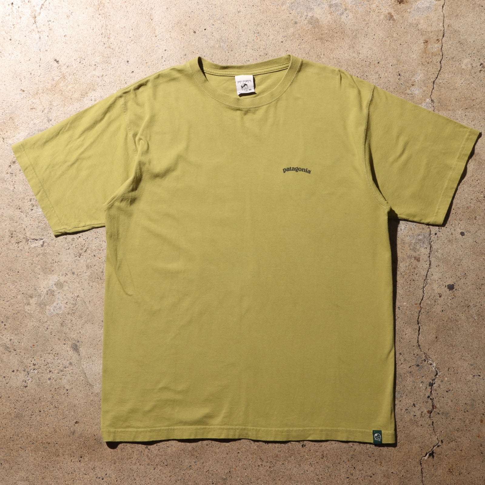 極美品 M アボカドグリーン Patagonia ベネフィシャルTシャツ