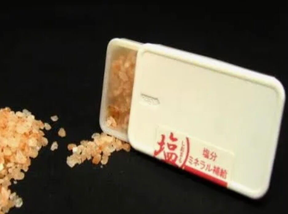 【熱中症対策】ヒマラヤピンク岩塩(約20g入り)携帯用ソルトケース